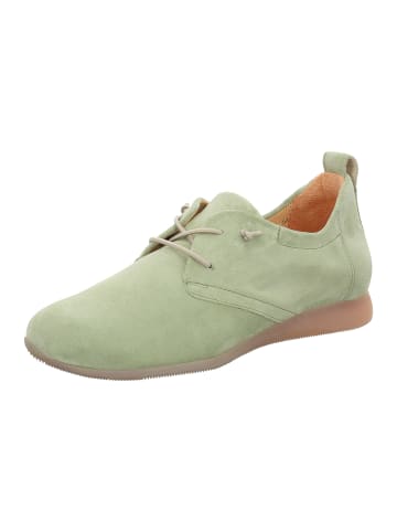 Think! Sneakers Low ALOA in Aloe