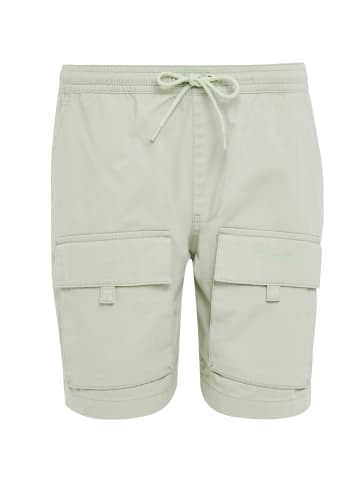 Threadbare Shorts THBGraphite in Sage