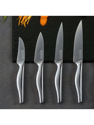 Nirosta 4 teiliges Messer-Set SWING