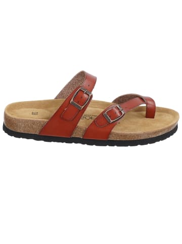 BIOSOFT Sandalen Zehenkreuzer in Braun