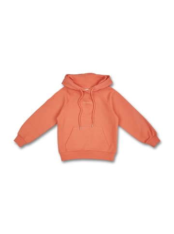 MANITOBER Basic Hoody in Peach