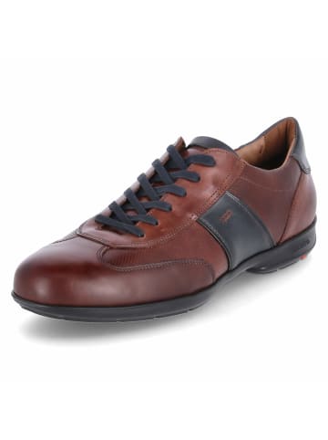 LLOYD Low Sneaker AKIN  in Braun