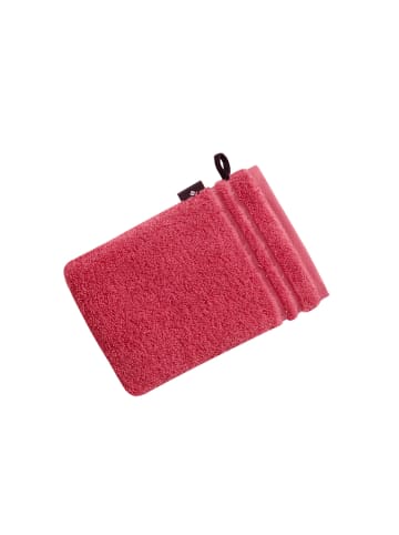 Vossen 6er Pack Waschhandschuh in maroon