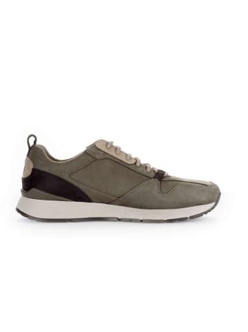 Pius Gabor Sneaker low in grün