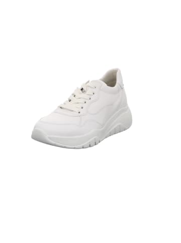 Gabor Lowtop-Sneaker in silber kombi