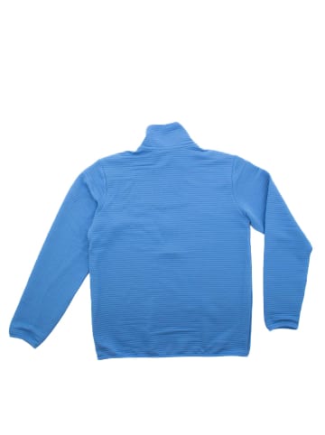 Jack Wolfskin Sweatshirt Modesto Halfzip Shirt Herren in Grau