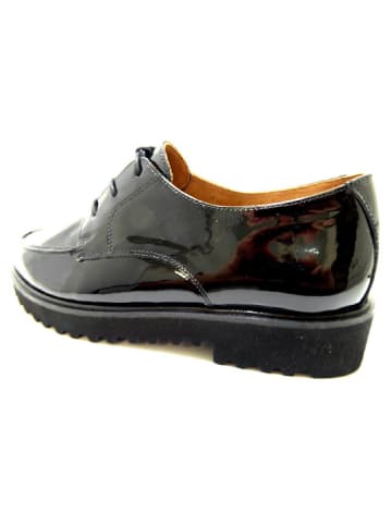 Paul Green Schnürschuh in schwarz