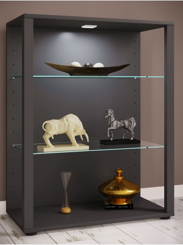 VCM  Holz Glas Stand Vitrine Sammelvitrine Glasol L in Anthrazit