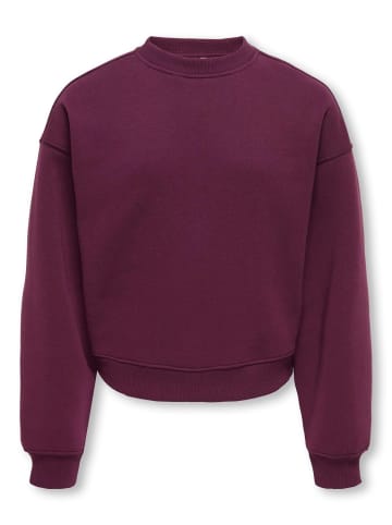 KIDS ONLY Sweatshirt Kogbest in fig