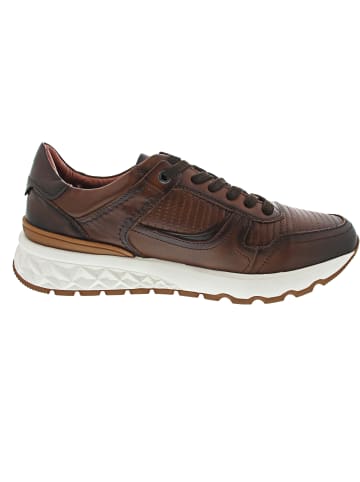 Pikolinos Aranda Sneaker low Braun