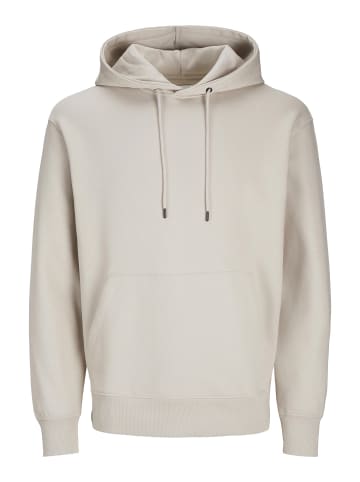 Jack & Jones Kapuzenpullover in Moonbeam