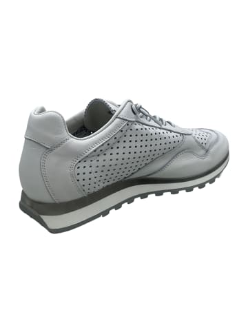 Cetti Sneaker Low in Weiß