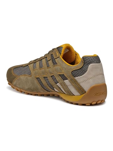 Geox Sneaker in Military
