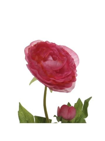 MARELIDA Dekoblume Ranunkel mit Blüte und Knospe in rot - H: 57cm