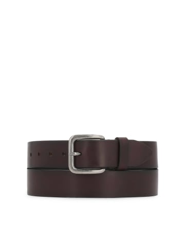 Kazar Gürtel in Braun