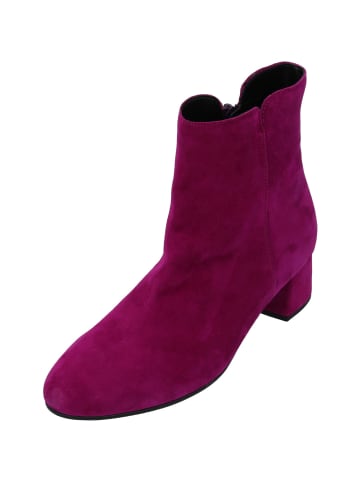 Gabor Stiefeletten in rouge