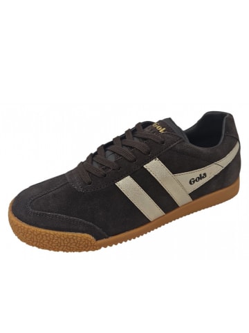 Gola Sportschuh Harrie in Braun