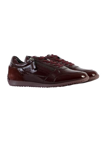 Geox Sneaker Basse aus Leder Calithe Rot