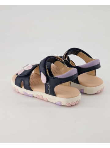 Geox Sandalen in Blau