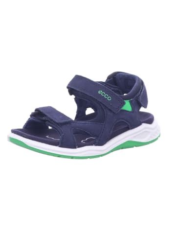 Ecco Outdoorschuh in blau