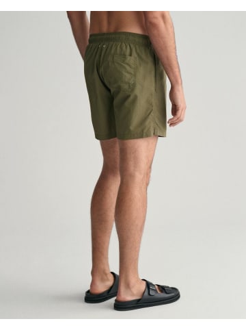 Gant Short in juniper green