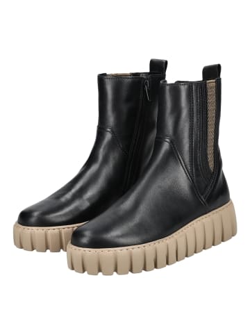 Gabor Stiefelette in Schwarz/Beige