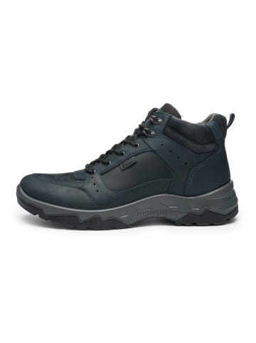 ara Stiefelette in blau