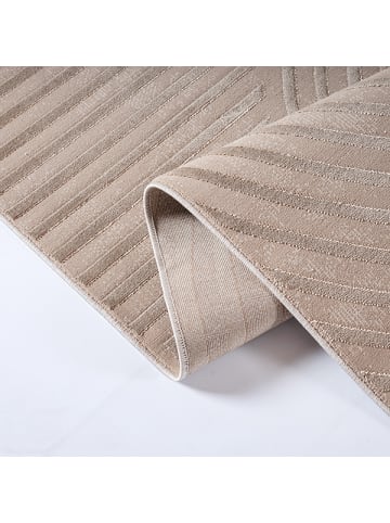 the carpet Kurzflorteppich Knight D in Beige