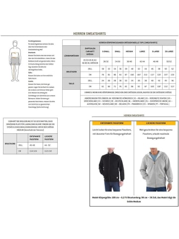 CARHARTT  Pullover "Quarter-Zip 105294" in Grau