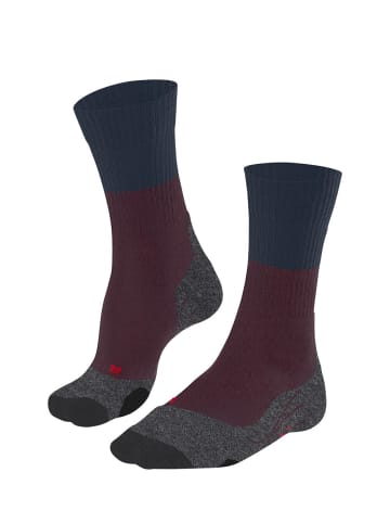 Falke Sportsocken TK2 in Barolo