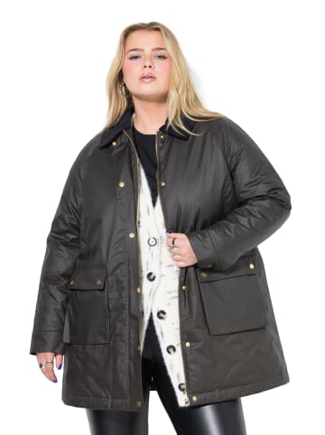 Studio Untold Jacke in pinienbraun