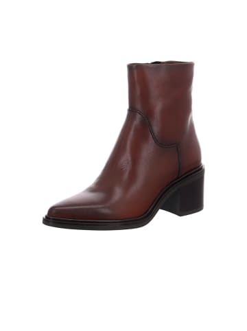 MJUS Klassische Stiefeletten in Braun