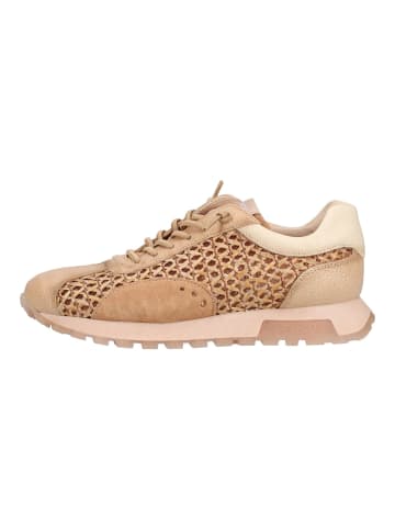 Hispanitas Sneaker in Camel