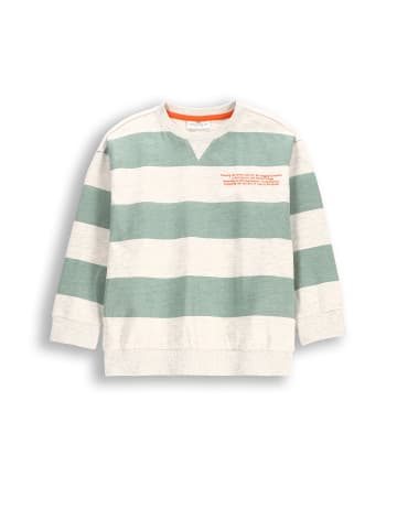 Coccodrillo Langarm-T-Shirt in bunt