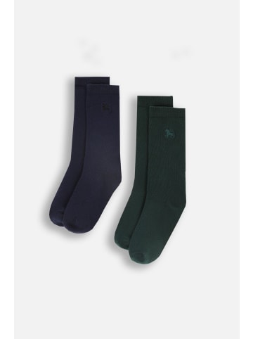 Coccodrillo Socken in bunt
