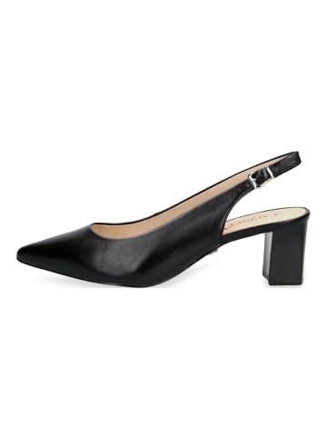 Caprice Pumps in Schwarz