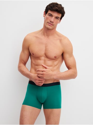 Calida New Boxer, 3er-Pack in ivy green