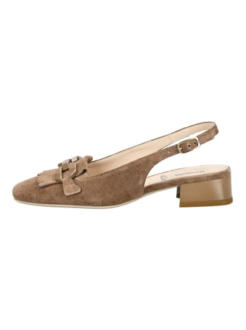 Pumps Braun