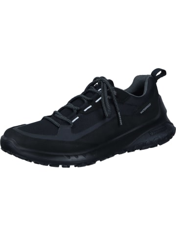 Ecco Schnürschuhe in schwarz