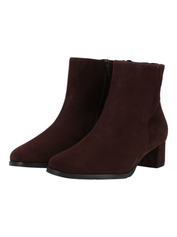 HASSIA Stiefelette in Chocolate