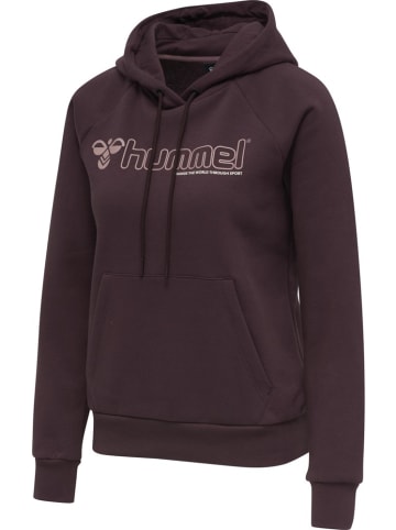 Hummel Hoodie in Braun