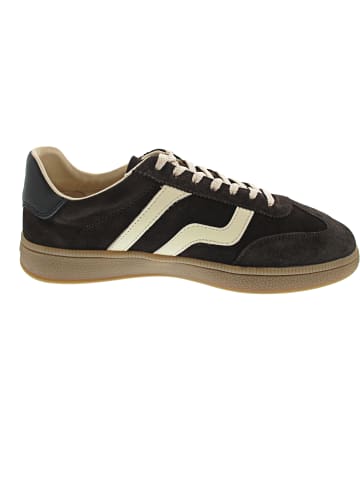 Gant Cuzmo Sneaker Braun