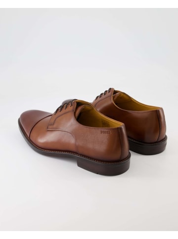 DIGEL Anzug- & Businessschuhe in Braun
