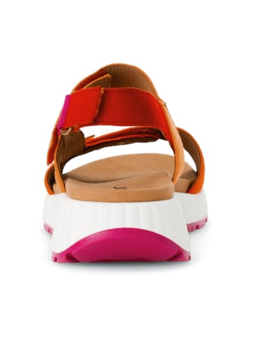 Gabor Trekkingsandalen in Bunt