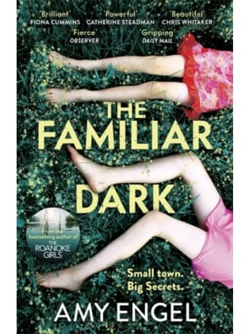Hodder & Stoughton Buch - The Familiar Dark