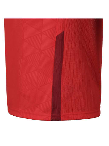 Nike Performance Fußballtrikot Trophy IV Jersey in rot / dunkelrot