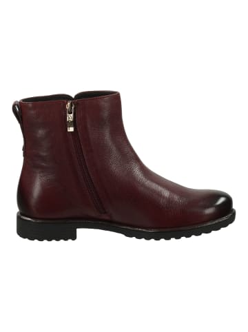 ara Stiefelette in Burgundy