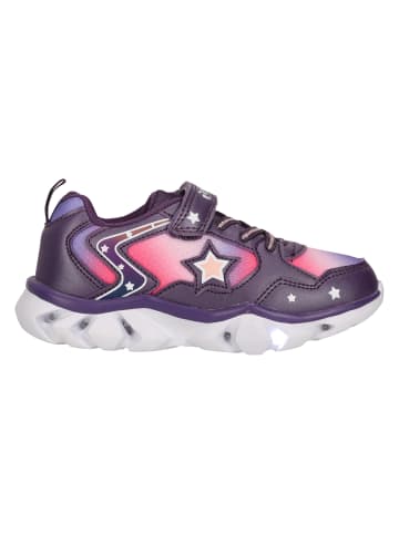 Zigzag Sneaker Saserta in 4411 Grape Compote