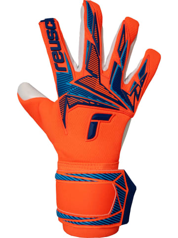 Reusch Torwarthandschuhe Attrakt Freegel Advance in 2290 shocking orange/blue