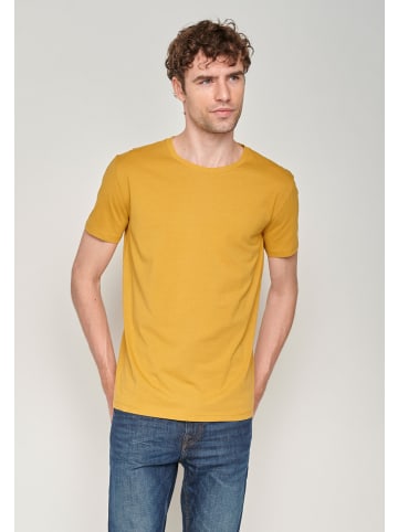 GreenBomb Guide Basic in Ocker